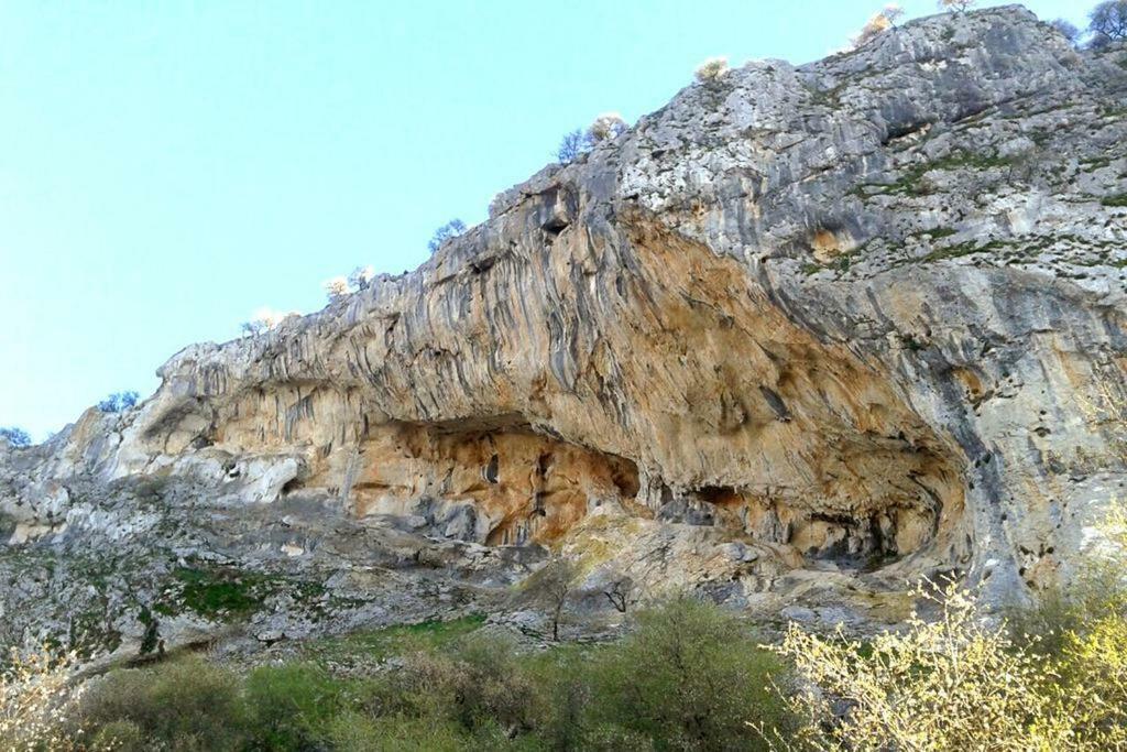 Вилла La Casita De Piedra Villanueva del Rosario Экстерьер фото